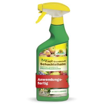 BioKraft Grundstoff Schachtelhalm