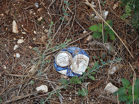 Weniger Müll, mehr Recycling: Neue Pfandverordnung und Trennregeln ab 2025