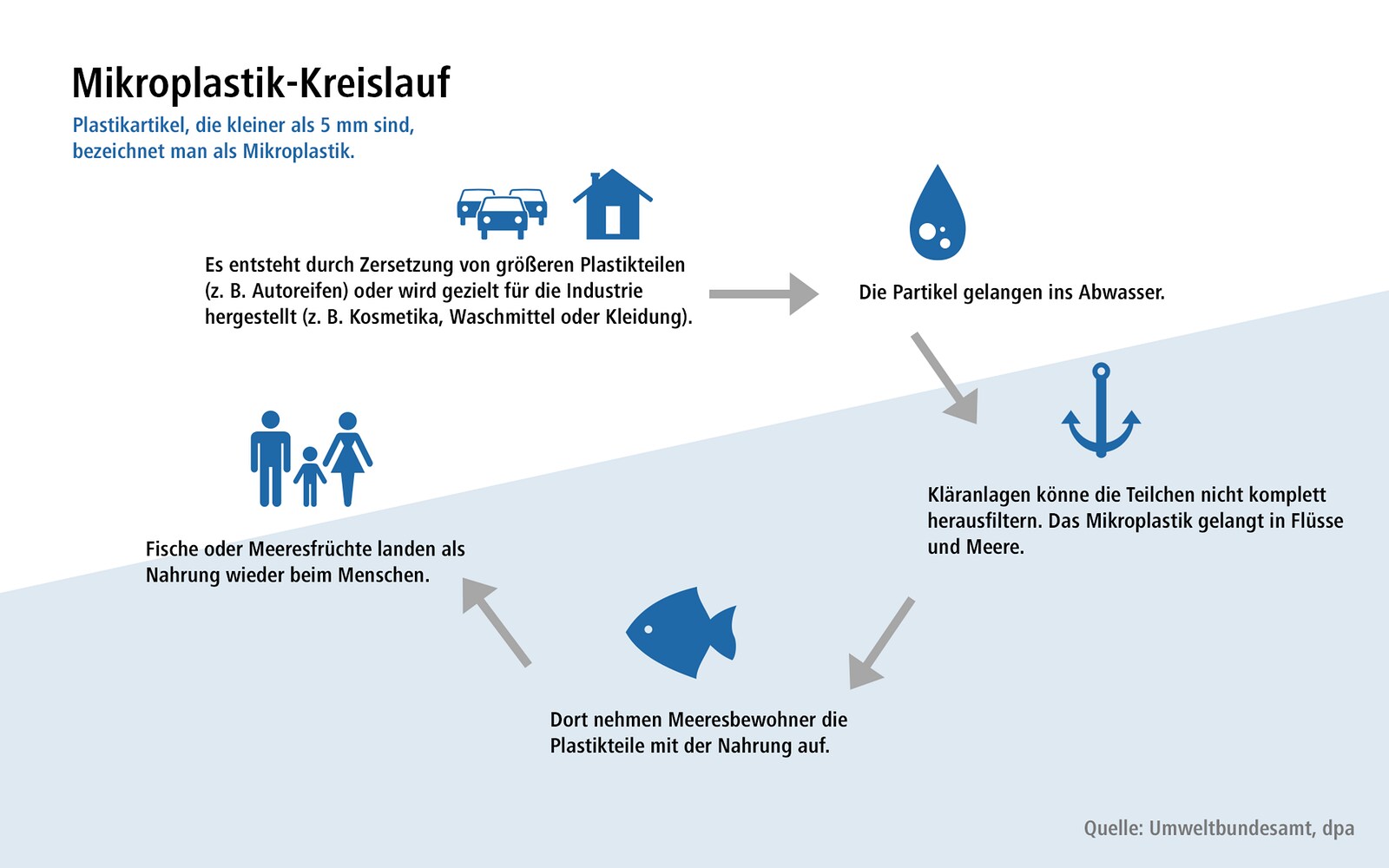 Der Mikroplastik Kreislauf